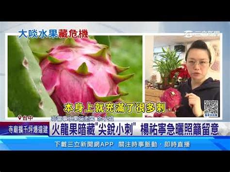 火龍果刺到|火龍果刺意外！3招應對